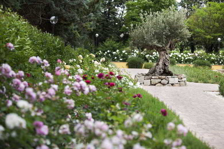 Hotel Resort & Spa San Crispino