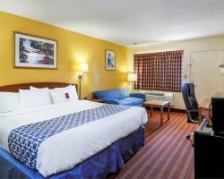 Hotel Econo Lodge Near Motor Speedway