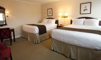 Hotel Mountain View Grand Resort & Spa