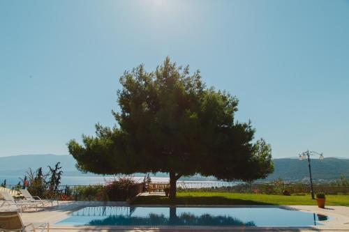 Villa Fantasia Luxury Apartment