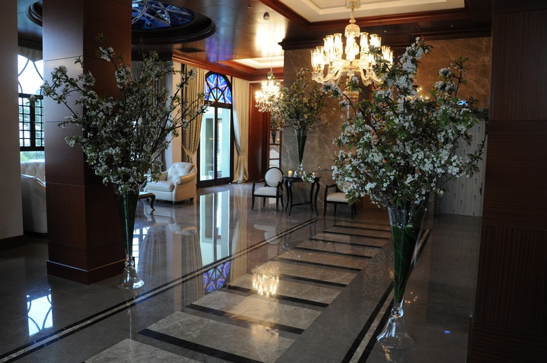 Hotel Celik Palas