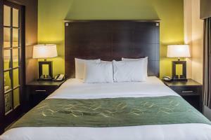 Hotel Comfort Suites