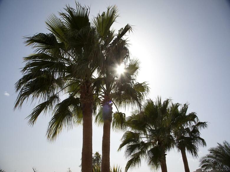 Hotel Coral Beach Resort Hurghada