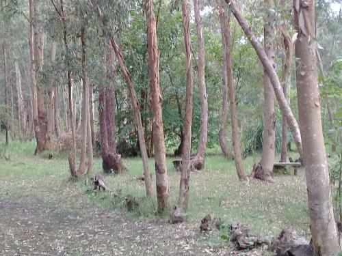 Agroturismo El Portal Del Bosque