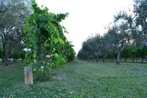 Apartamento Finca Fisterra
