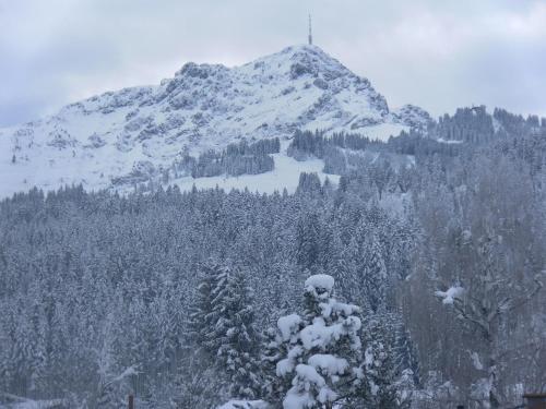 Apartment In St. Johann In Tirol 555
