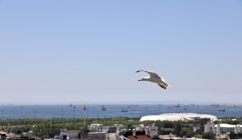 Istanbul Royal Hotel