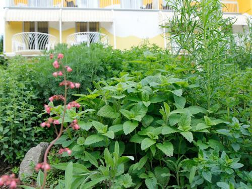Das Moser - Hotel Garni Am See (adults Only)