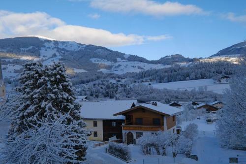 Apartamento Alpin Penthouse Hollersbach