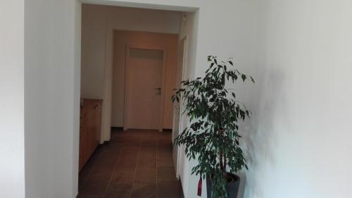 Apartamento Appartement Grie�enkareck