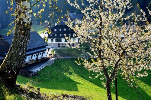 Posada Gasthof Ochnerbauer