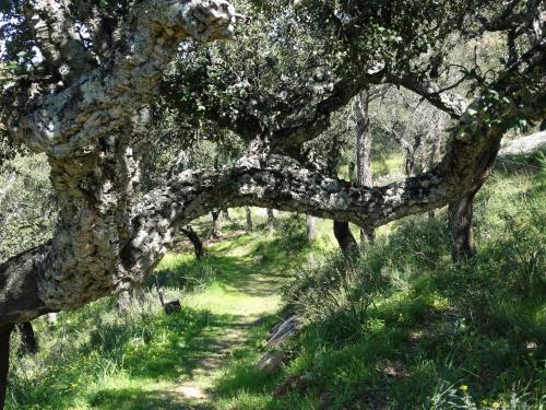 Apartamento Alojamiento Rural El Lario