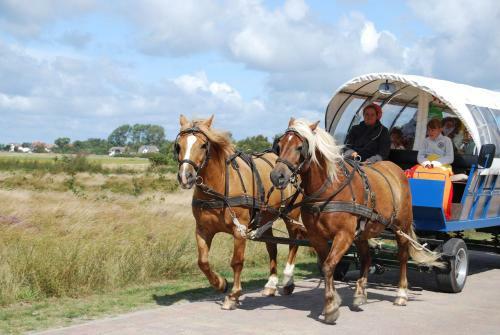 Apartamento Doppelhaush�lfte In Vitte Auf Hiddensee