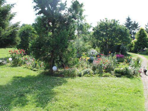 Cozy Apartment In Walkendorf With Garden