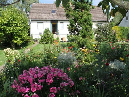 Cozy Apartment In Walkendorf With Garden