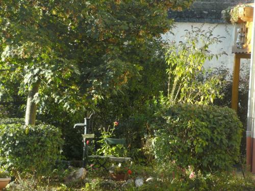 Apartamento Spacious Villa In Morbach With Garden