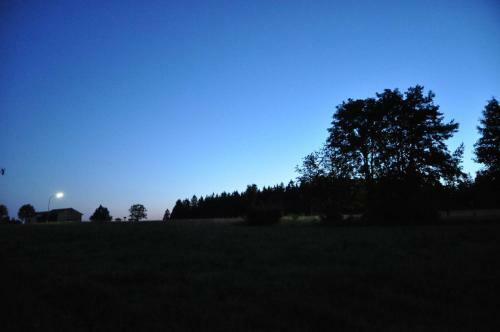 Ferienhaus Schw�rzer
