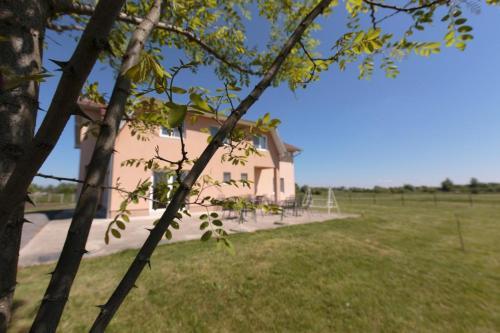 Hostal Double Room Bilje 14318b