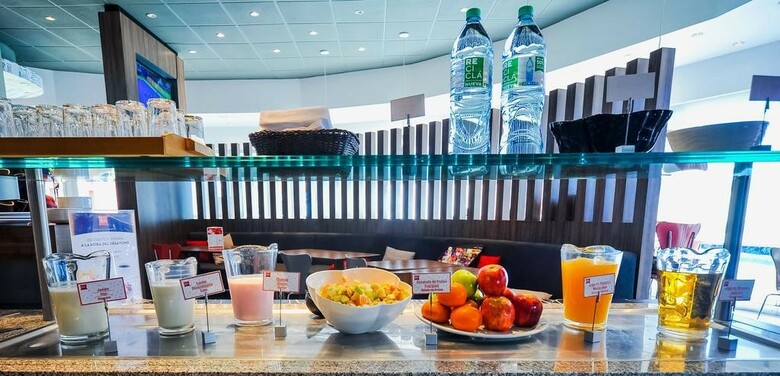 Hotel Ibis Mendoza