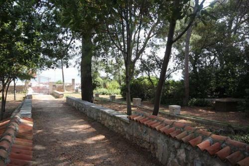 Apartments By The Sea Zdrelac (pasman) - 8307