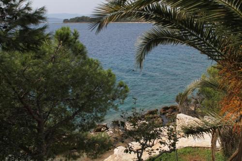 Apartments By The Sea Zdrelac (pasman) - 8405