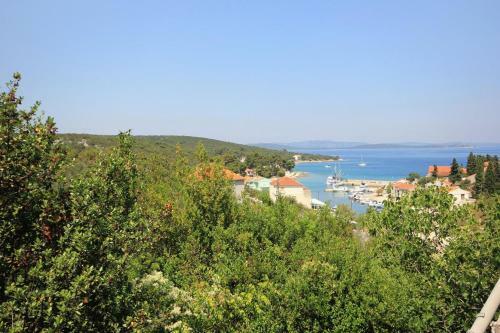 Holiday Apartments Zman (dugi Otok) - 887
