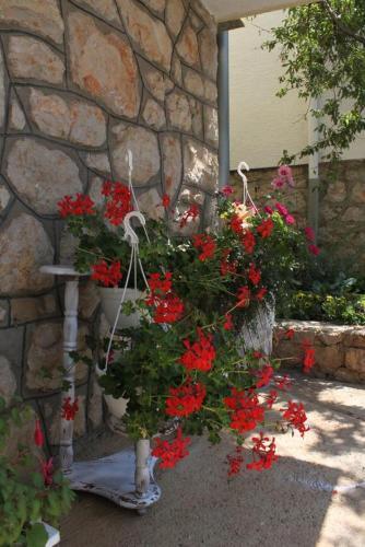 Apartments With A Parking Space Starigrad (paklenica) - 6648