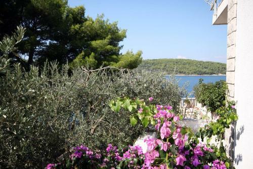 Apartments By The Sea Necujam (solta) - 5162