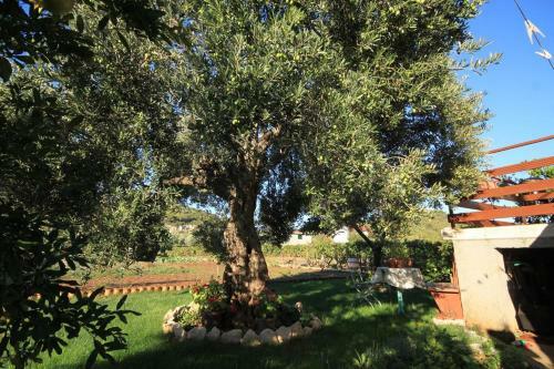 Apartments By The Sea Tkon (pasman) - 8410