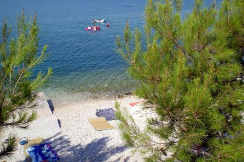 Apartment Mastrinka 2084b