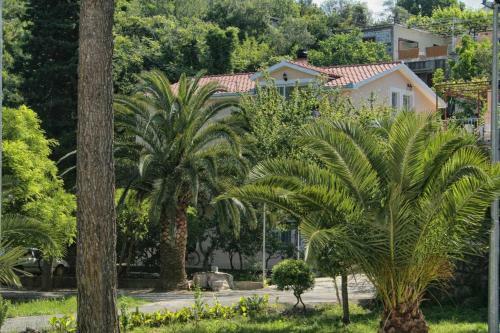Apartamentos Studio Trpanj 257d