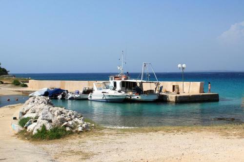 Seaside Holiday House Susica (ugljan) - 9664