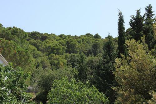 Apartment Kraj 8259b
