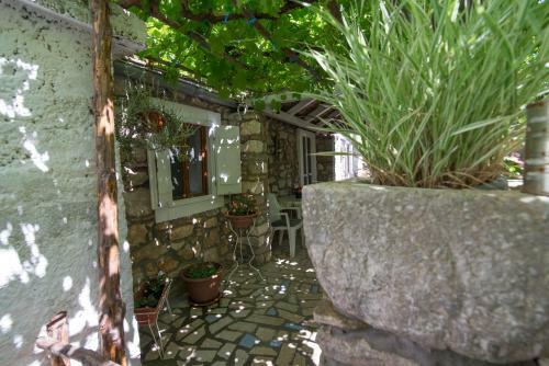 Apartamentos Loredana 1