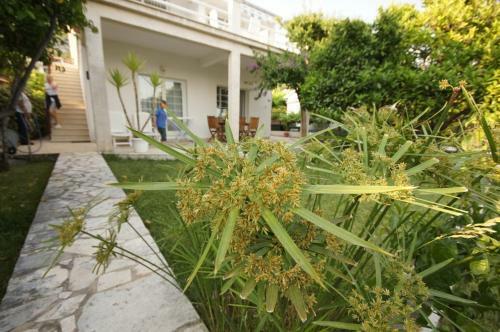Apartments Viganj (22)