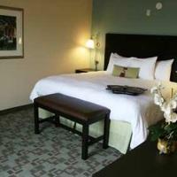 Hotel Hampton Inn And Suites Savannah-airport