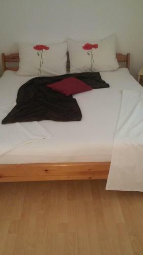 Hostal Apartmani Zelic