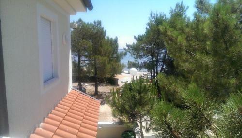 Apartments Bol?evi?