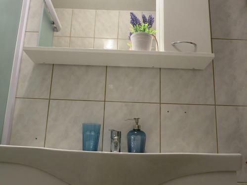 Holiday Home Vir
