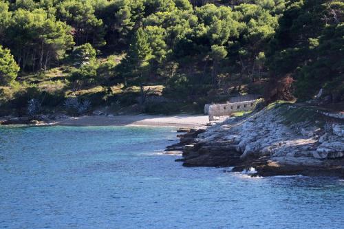 Apartment Vis 8531b