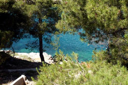 Apartments By The Sea Mudri Dolac (hvar) - 595