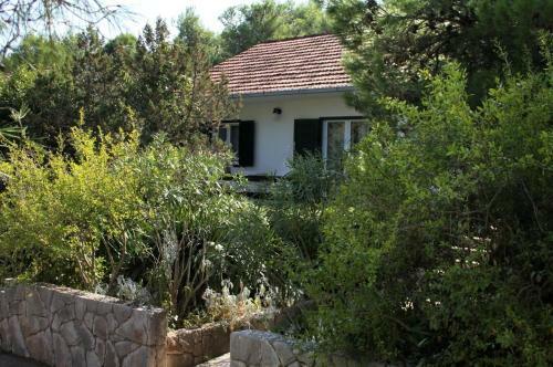 Apartments By The Sea Mudri Dolac (hvar) - 4042
