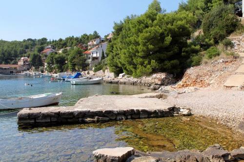 Apartments By The Sea Basina (hvar) - 8749