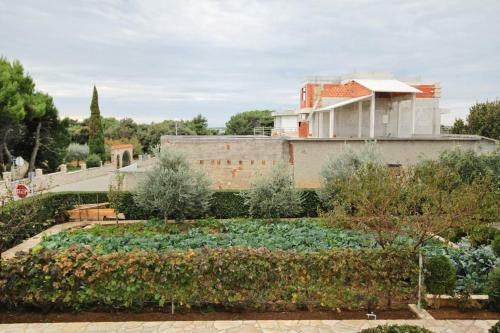 Apartments With A Parking Space Vrsi - Mulo (zadar) - 5796