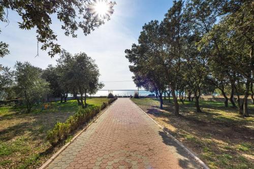 Apartment Vrsi - Mulo 5951b