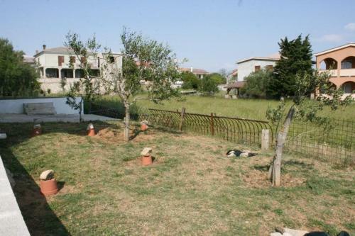 Apartment Povljana 229d