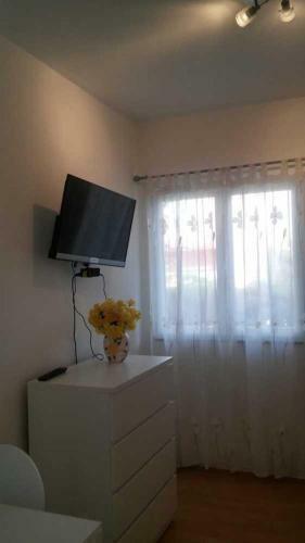 Apartments Romana