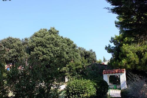 Apartments With A Parking Space Banjole (pula) - 2213