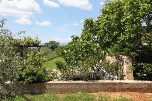 Apartments With A Parking Space Punat (krk) - 5373