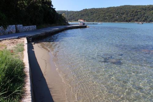 Apartments By The Sea Kampor (rab) - 12473